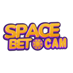 universal sudoku puzzle
